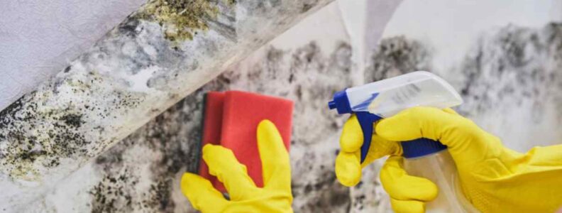 emergency mould cleanup Sydney